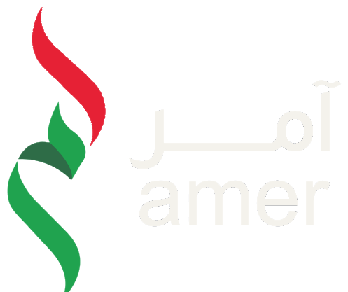 Amer Amer